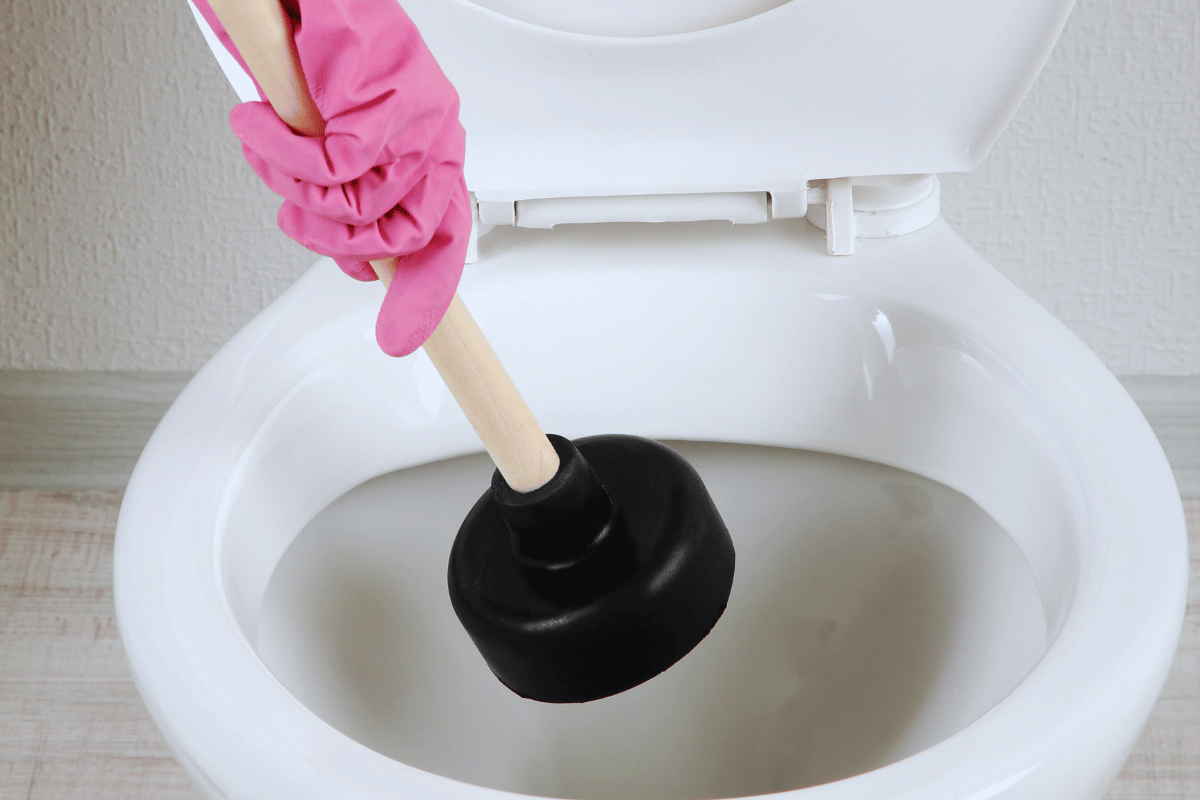Comment Utiliser Ventouse Wc
